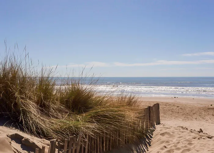 Chez Catherine - Superbe Appartement Convivial Situe En Bord De Mer